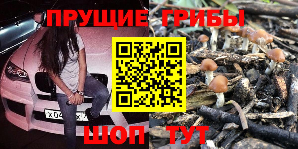 Галлюциногенные грибы MAGIC MUSHROOMS Дзержинский