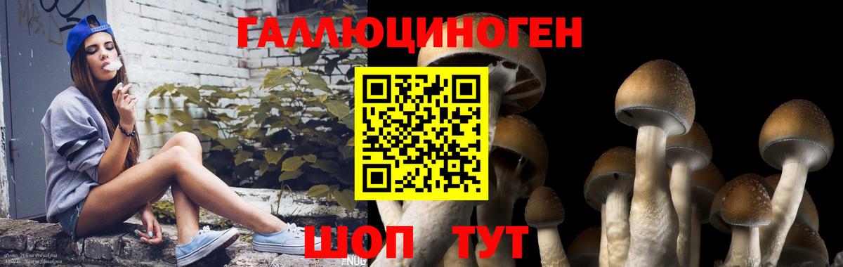 Псилоцибиновые грибы Cubensis  Псилоцибиновые грибы мицелий  Дзержинский  Вход с VPN 